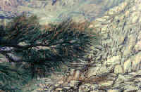 'Guarding the Edge' (detail)