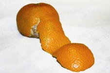 'Phallic Clementine' 2007, digital print on paper by Stephanie McBride