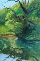 'Tree at Pond's Edge' by Judith Anderson