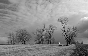 'Lost Homes - The Pierce Place' by Bruce Morton