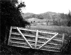 'The Peach Orchard' by Everitt Clark