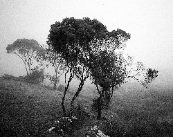 'Winter Morning, San Cristobal de Las Casas, Chiapas, Mexico' by Dan Mouer