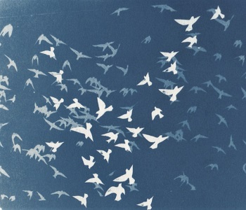 'Free Flying,' Cyanotype, Matted print ( 5.5 x 8.5 inches) in 9 x 12 mat, inches, by Kathleen Westkaemper