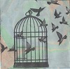 'Uncaged V,' Solar etching, Matted print (3.5 x 3.5 inches) in 8 x 8 mat, inches, by Kathleen Westkaemper