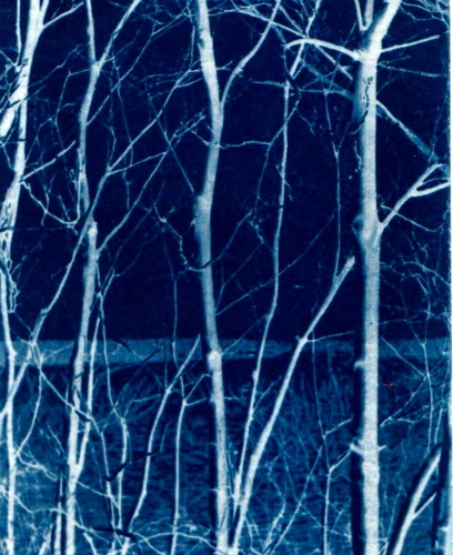 'By the James River,' Cyanotype, 7 x 5 inches, by Kathleen Westkaemper