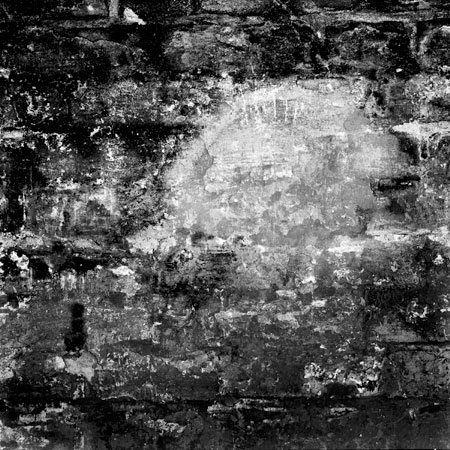 'Calcium Deposit on Brick Wall, Fort Macon, Atlantic Beach, NC' by Louis Joyner