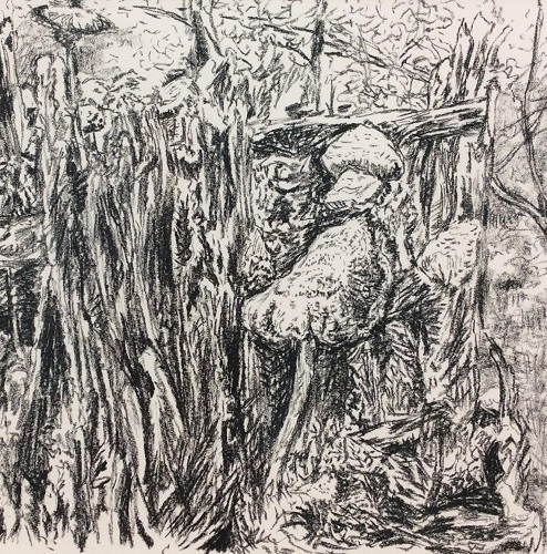 'Mushroom Stump' Charcoal, by Chris Rudasill