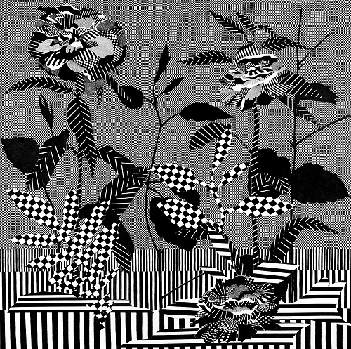 'Night Garden' Archival Print by Nikki Painter