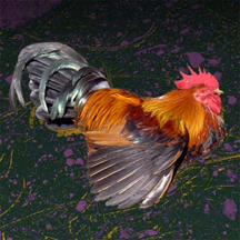 'Key West Rooster' by Anne C. Savedge