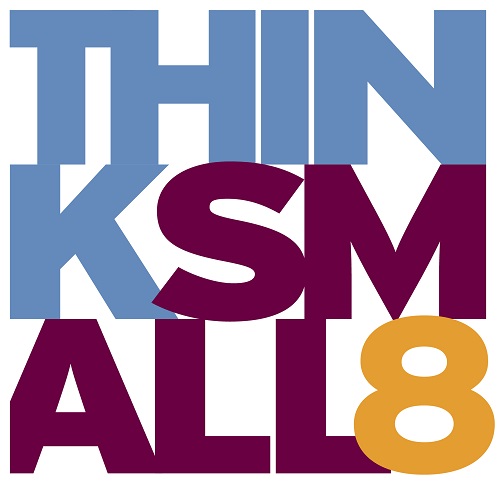 ThinkSmall8